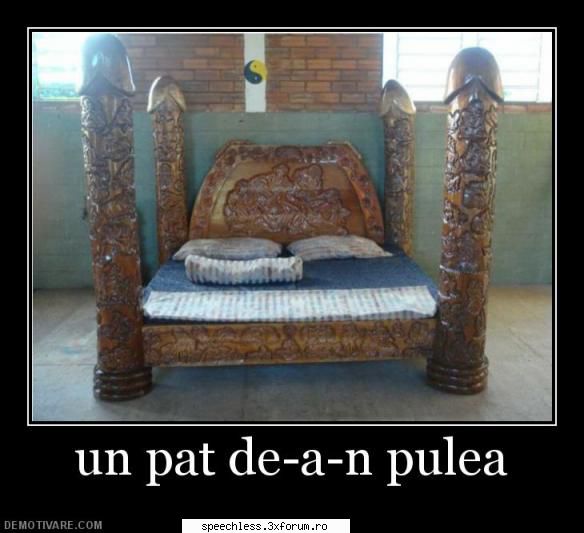 Imagini Funny :)) - ƉиƉ - Imagini